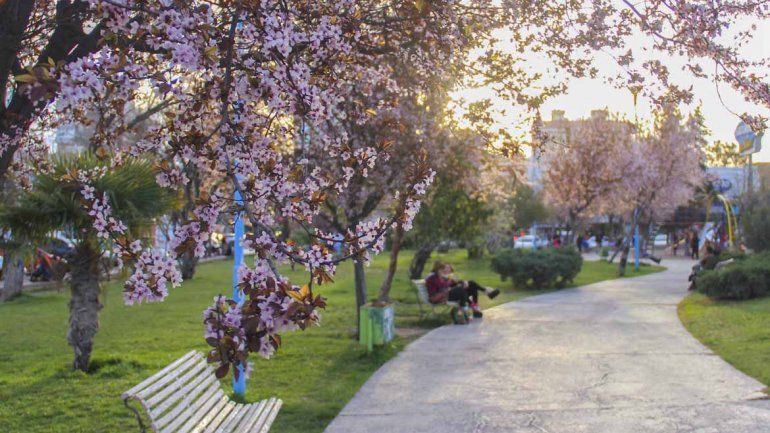 Chau viento: se espera una semana calurosa y con sol a pleno
