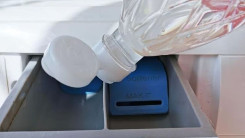 El procedimiento es simple y no requiere experiencia previa. | LM Neuquen El procedimiento es simple y no requiere experiencia previa.