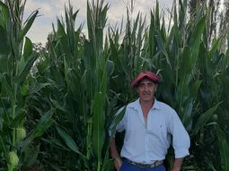 Julio Ortega, pionero en el cultivo de maíz en El Valle. Julio Ortega, pionero en el cultivo de maíz en El Valle.