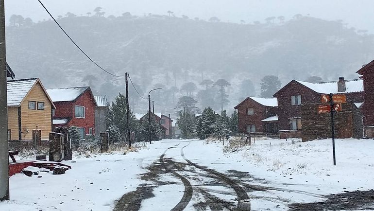 Las imágenes del interior neuquino tras el viento y la nieve
