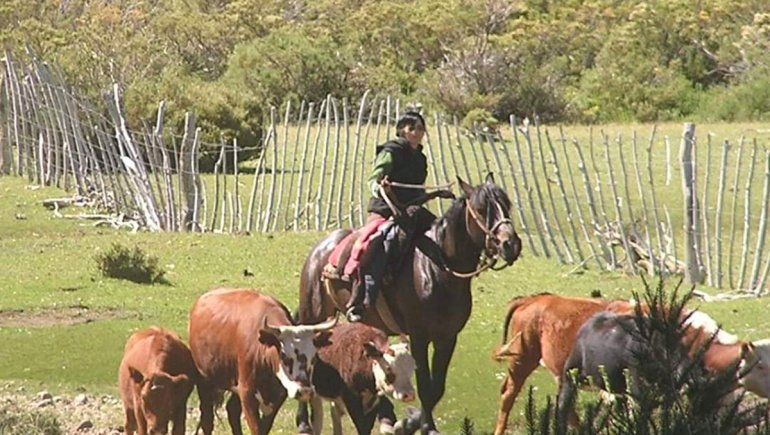 A la escuela a caballo: el sacrificio de una madre rural para educar a sus diez hijos