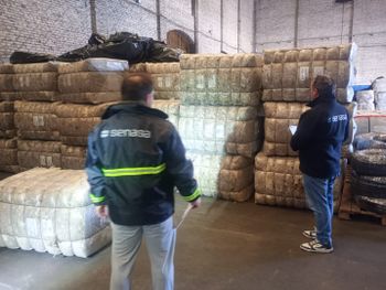 El primer cargamento de lana sucia salió desde Chubut hacia Uruguay bajo el nuevo esquema que permite a los productores vender directamente al exterior.