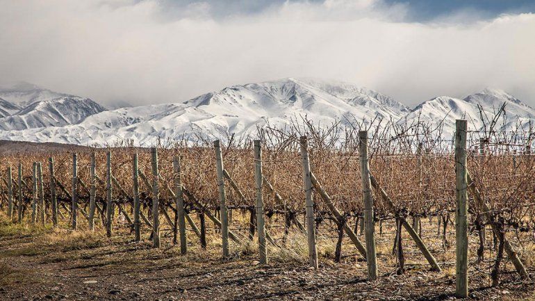 ¿Cuál es la región del vino  argentino de la que todo  el mundo habla y por qué?