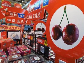 China es el principal destino de la oferta exportable de cerezas de Chile.