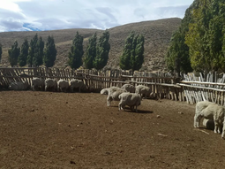 Una localidad con perfil productivo-turístico. Foto: gentileza