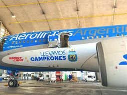 Desde la compañía indicaron cómo será el esquema de vuelos especiales. Desde la compañía indicaron cómo será el esquema de vuelos especiales.