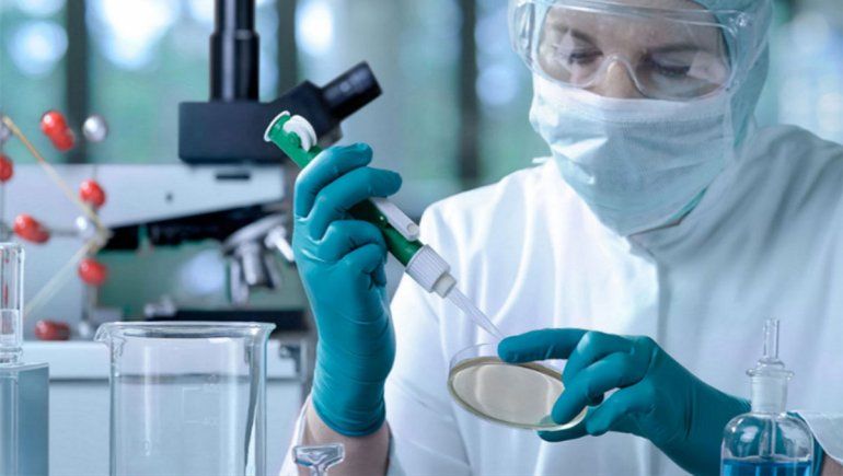 Argentinos dan con un suero que neutraliza el coronavirus