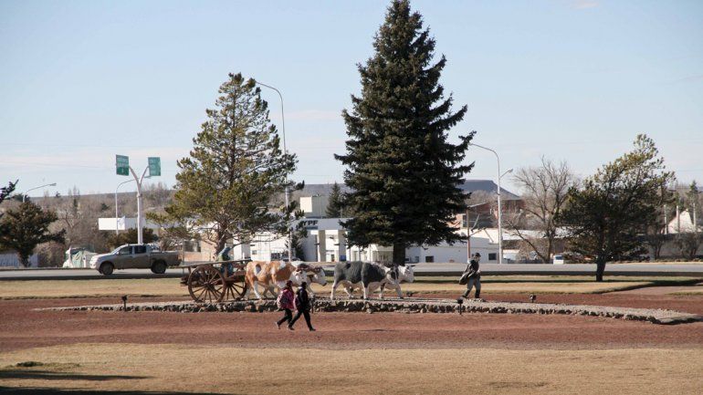 Una paloma provocó un corte masivo que dejó sin luz a toda Zapala