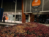 Miles de kilos de duraznos y nectarines fueron tirados por los productores en las puertas de varios supermercados.