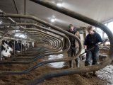 La OIT advierte por la baja de los salarios por la pandemia