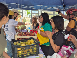 se viene un nuevo frutazo en el alto valle: ¿donde y cuando sera? se viene un nuevo frutazo en el alto valle: ¿donde y cuando sera?
