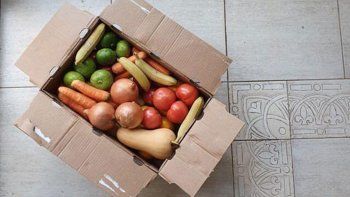 Arman un exitoso emprendimiento en plena pandemia