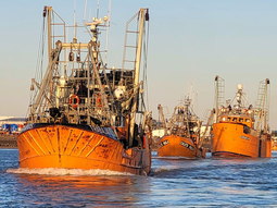 Desembarques en puertos patagónicos consolidan un aumento interanual del 49,9% en el sector. Desembarques en puertos patagónicos consolidan un aumento interanual del 49,9% en el sector.