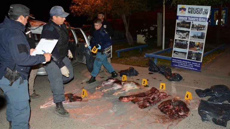 Atraparon a un taxista que contrabandeó 200 kilos de carne de ciervo