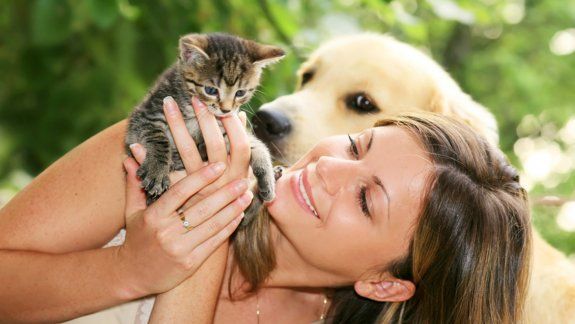 Muchas personas eligen compartir su vida con un perro o un gato, y los consideran parte de sus familias.