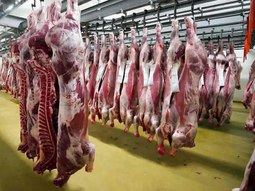 Las exportaciones de carne superaron los US$3800 millones impulsadas por mercados de alto valor como Estados Unidos y la Unión Europea.