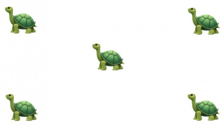 ¿Qué significa el emoji de tortuga en WhatsApp?