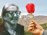 Doña Ramona, la historia detrás de los tulipanes