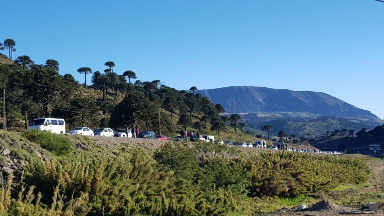 Así está hoy el Paso Internacional de Pino Hachado.