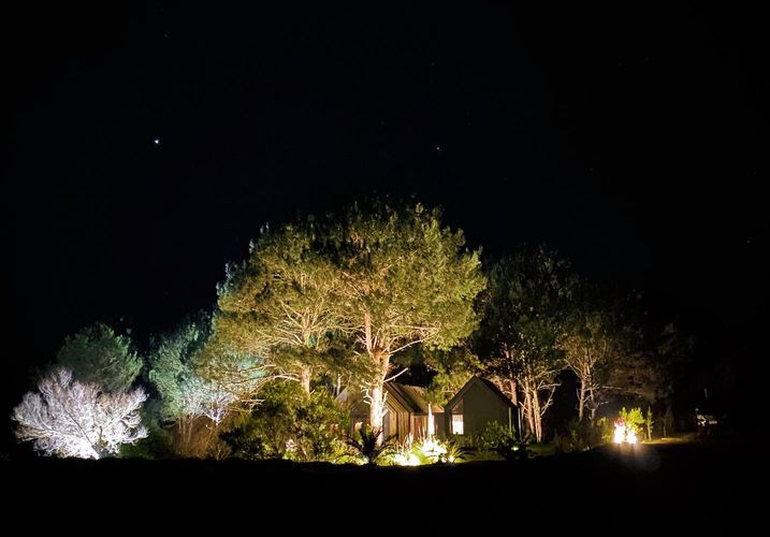 Por las noches, la arboleda que rodea la vivienda se ilumina para realzar la belleza natural.
