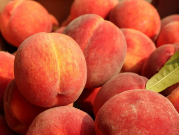Argentina se posiciona entre los países con mayor potencial de crecimiento para la producción de duraznos y nectarines.