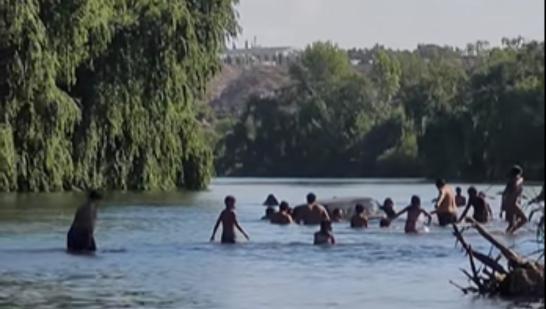 Un Ford Falcon apareció flotando en el río Neuquén.&nbsp;