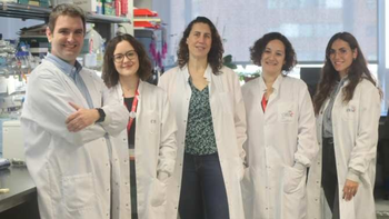 descubren proteina que protege de enfermedades cardiovasculares descubren proteina que protege de enfermedades cardiovasculares