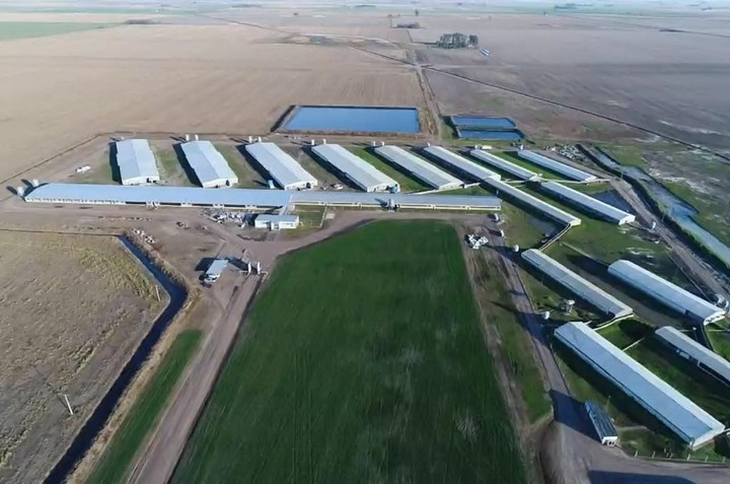 Expansión ambiciosa del 30%: La granja de Isowean en Córdoba proyecta alcanzar 17.000 cerdas madres en 2026, elevando su producción a 62.500 toneladas anuales. Expansión ambiciosa del 30%: La granja de Isowean en Córdoba proyecta alcanzar 17.000 cerdas madres en 2026, elevando su producción a 62.500 toneladas anuales.