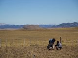 Patagonia debate sobre las oportunidades para su sector agropecuario