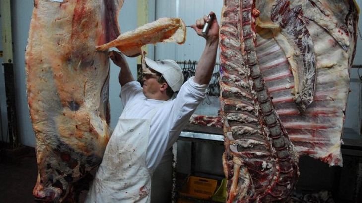 La apertura de mercados llega con exigencias: trazabilidad, sostenibilidad y mayor productividad serán determinantes. La apertura de mercados llega con exigencias: trazabilidad, sostenibilidad y mayor productividad serán determinantes.
