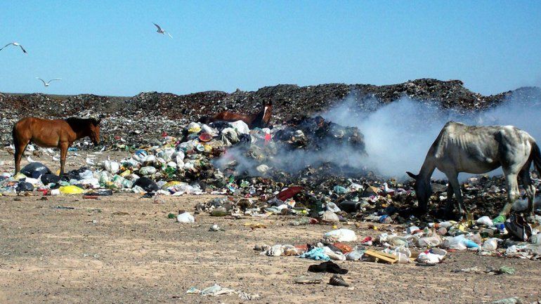 Violento asalto a un abuelo para sacarle toda su jubilación