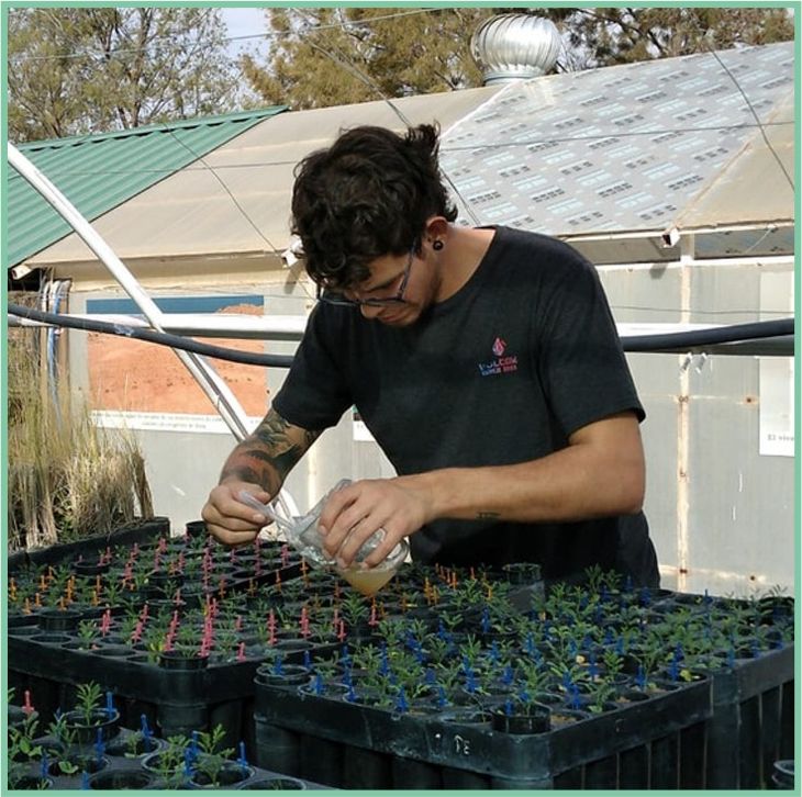 Las pruebas iniciales se realizaron en el Vivero de Especies Nativas de la UNCo. Las pruebas iniciales se realizaron en el Vivero de Especies Nativas de la UNCo.
