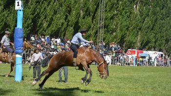 turismo: eventos propiciaron gran nivel de ocupacion en neuquen turismo: eventos propiciaron gran nivel de ocupacion en neuquen