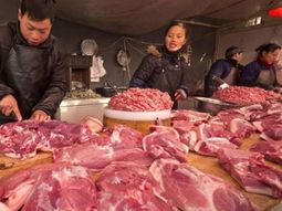 Las importaciones de carne de China comienzan a desacelrarse, con precios a la baja. Las importaciones de carne de China comienzan a desacelrarse, con precios a la baja.