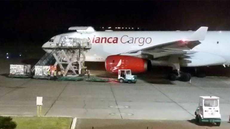 Partió el primer cargamento de cerezas regionales vía aérea a Miami