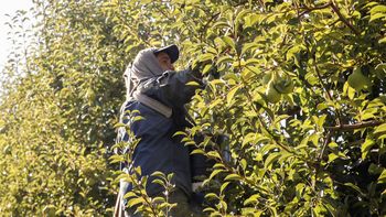 La iniciativa del Gobierno será debatida en el Congreso de la Nación. La iniciativa del Gobierno será debatida en el Congreso de la Nación.