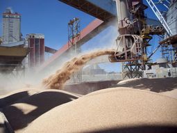 Se prevé un alza monumental de la producción de granos. Se prevé un alza monumental de la producción de granos.