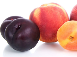 Chile sigue creciendo en sus exportaciones frutícolas. Definen estrategia para la temporada.2023/24. Chile sigue creciendo en sus exportaciones frutícolas. Definen estrategia para la temporada.2023/24.