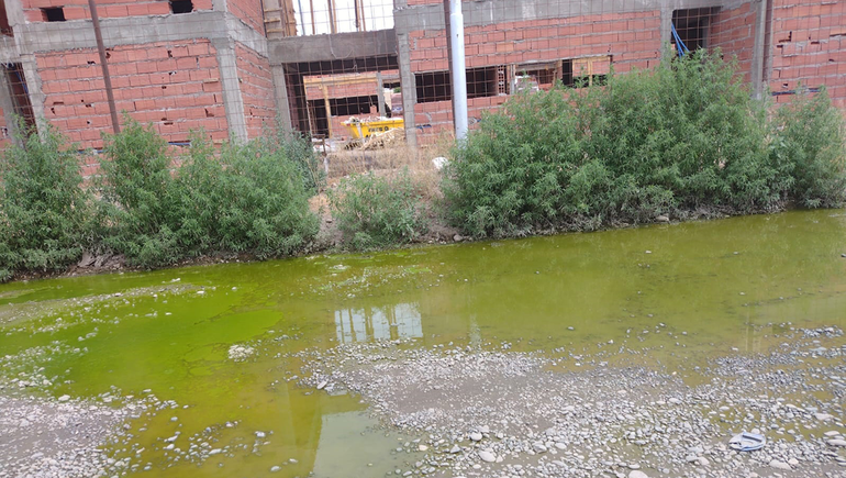 Hace un mes que vivo con una laguna cloacal en la puerta de mi casa