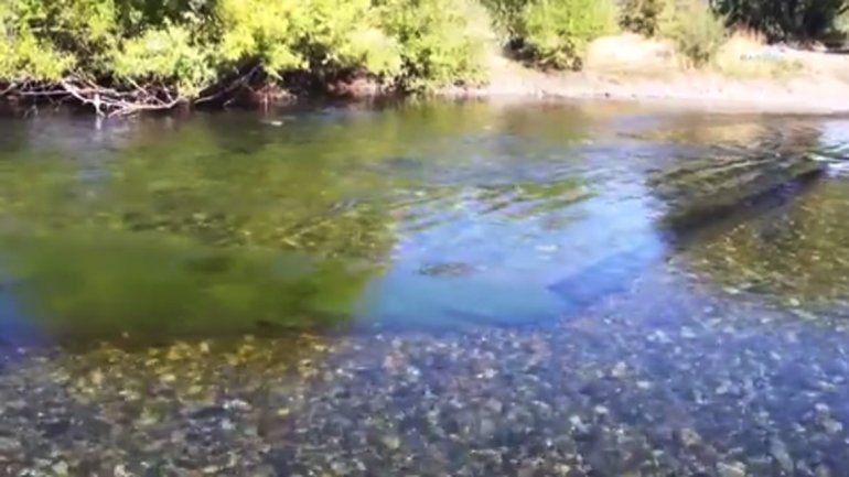 Aseguran que los líquidos cloacales no contaminan el río Chimehuin