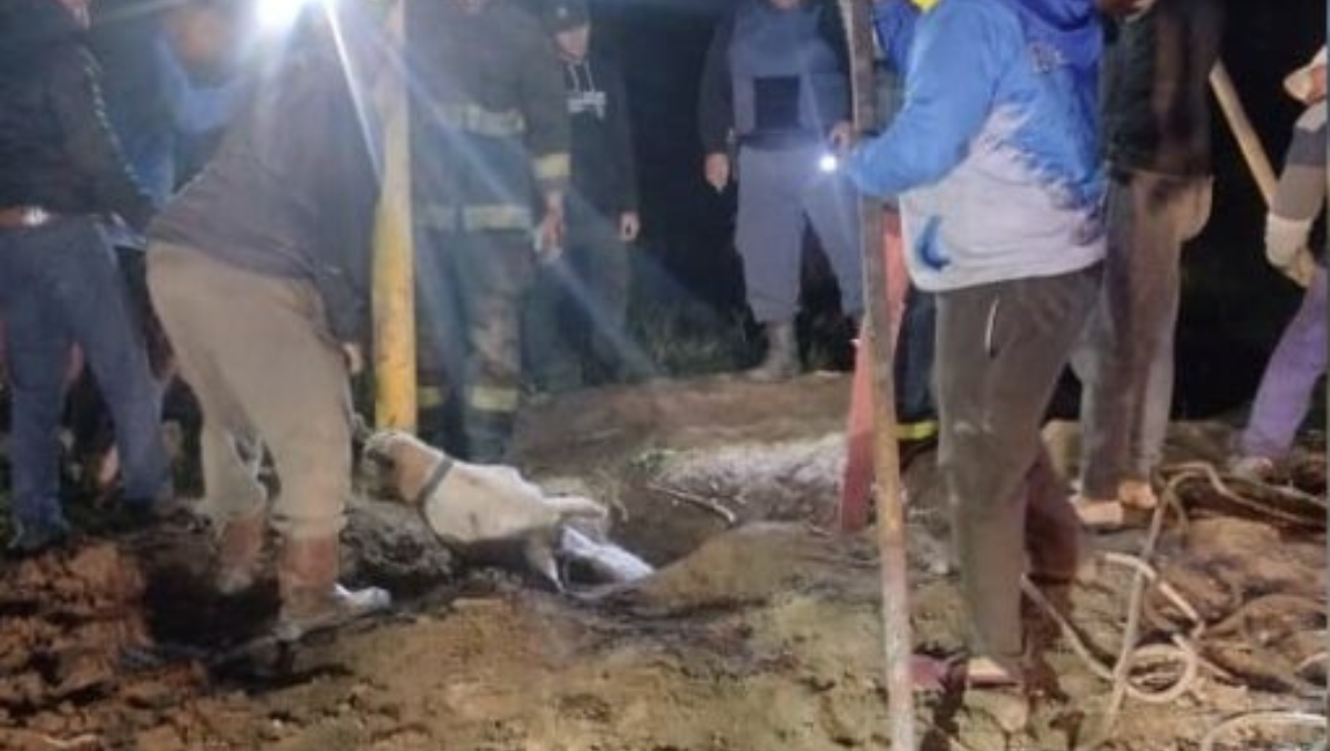 Impresionante rescate nocturno de un caballo caído en un pozo de dos metros