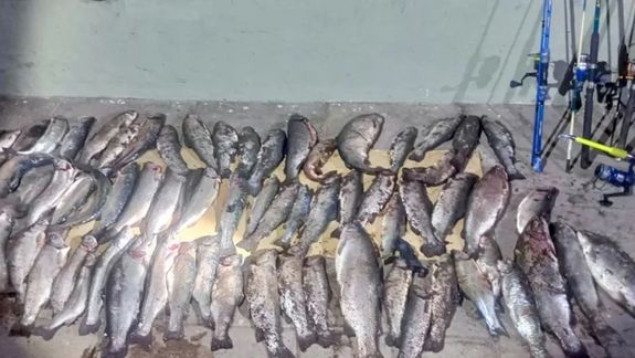 Sorprendieron a pescadores furtivos en Neuquén