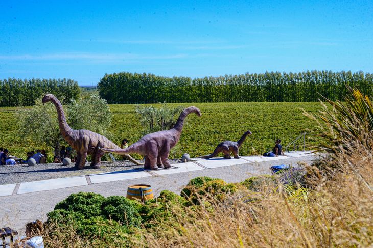 San Patricio es el corazón vitivinícola de Neuquén. Foto: Bodega Familia Schroeder San Patricio es el corazón vitivinícola de Neuquén. Foto: Bodega Familia Schroeder