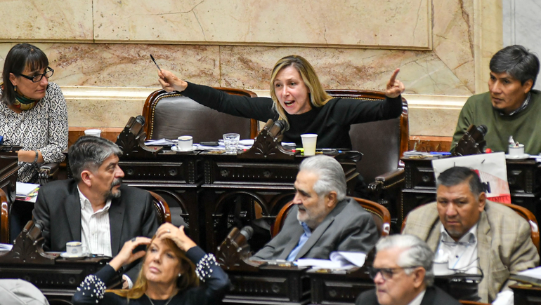 Con varios cruces y polémicas, se están aprobando los artículos particulares de la Ley Ómnibus. Con varios cruces y polémicas, se están aprobando los artículos particulares de la Ley Ómnibus.