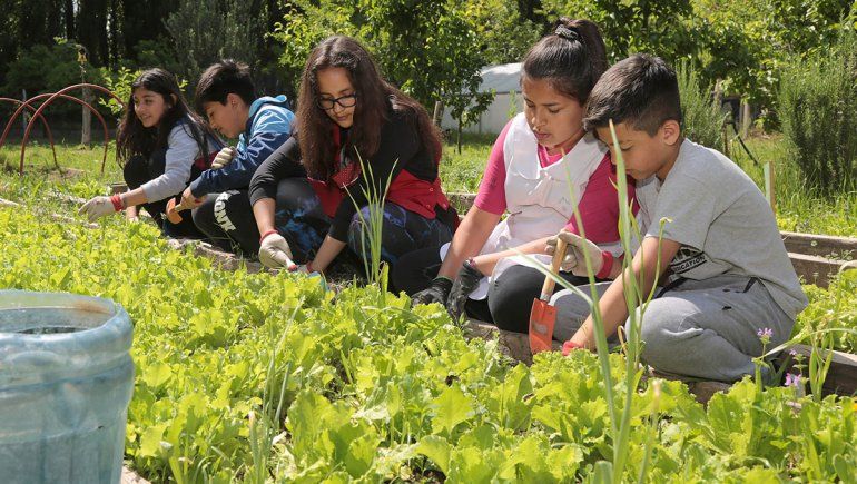 Esos chicos que en los recreos ya no comen caramelos