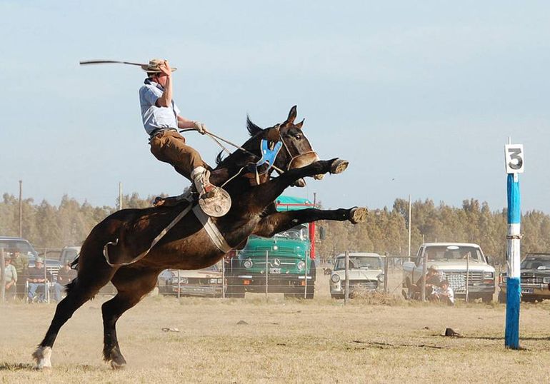 La jineteada es una actividad tradicional en el campo argentino y, aunque muchas veces se la asocia con el maltrato animal, tiene reglas para evitarlo.