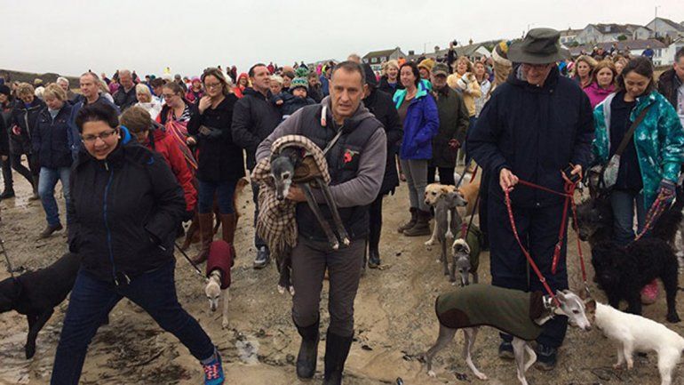 Pidió compañía antes de sacrificar a su perrito