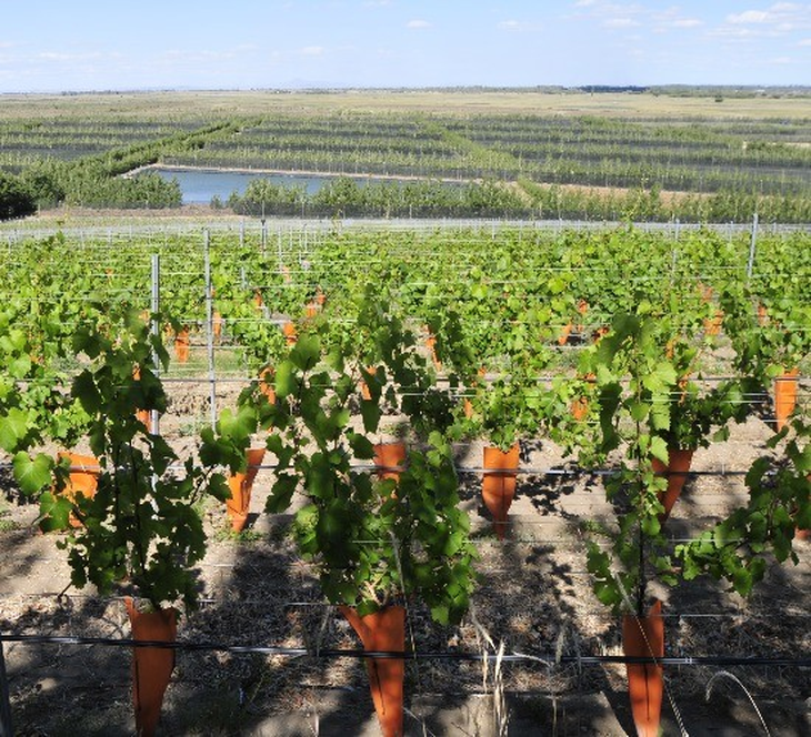 Otronia se sitúa en una zona extremadamente fría. Otronia se sitúa en una zona extremadamente fría.