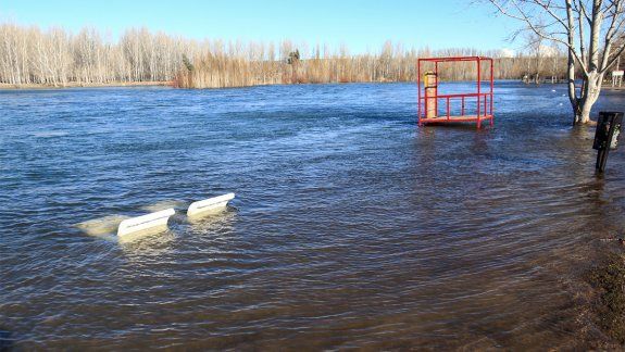 El río Limay viene al tope: la crecida
