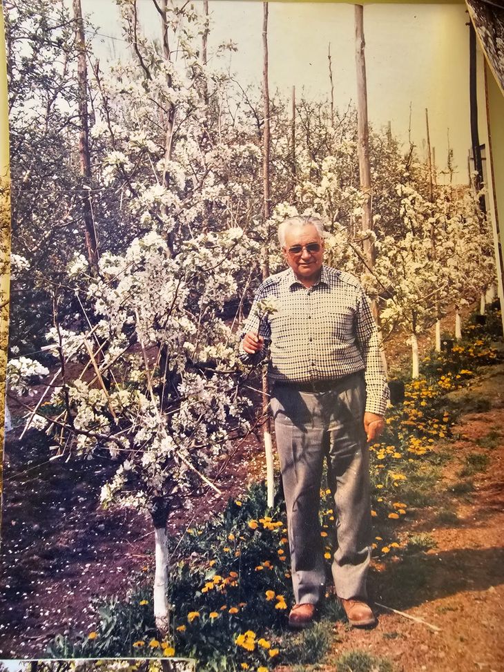 La historia de Don Francisco habla de una fruticultura de otra época. Foto: gentileza de su familia La historia de Don Francisco habla de una fruticultura de otra época. Foto: gentileza de su familia